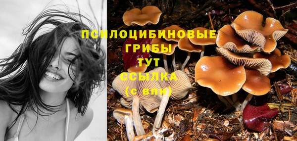 прущая мука Михайловск